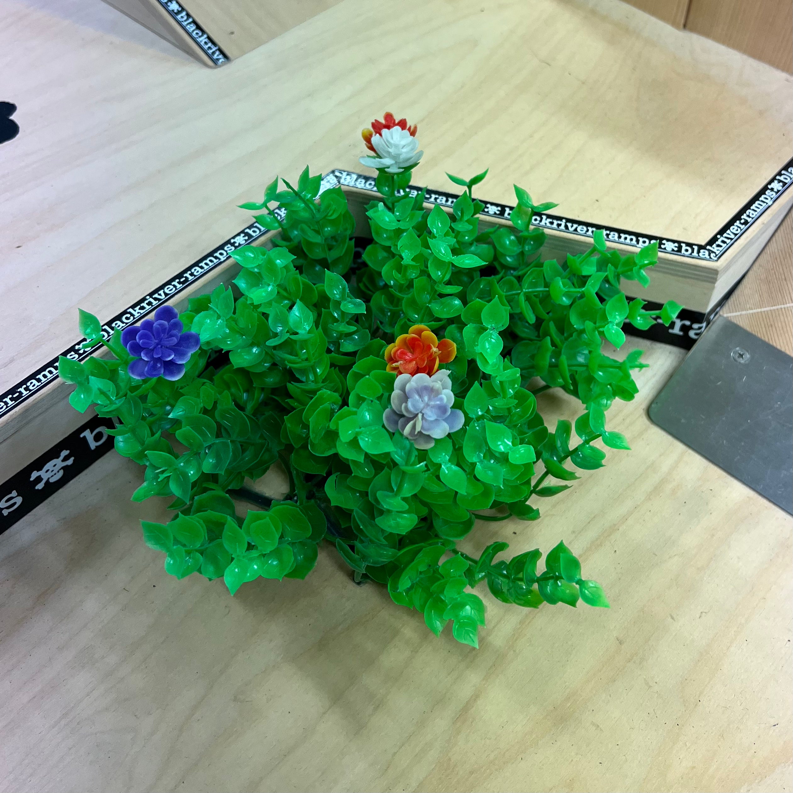 Radical - Decorative Plant