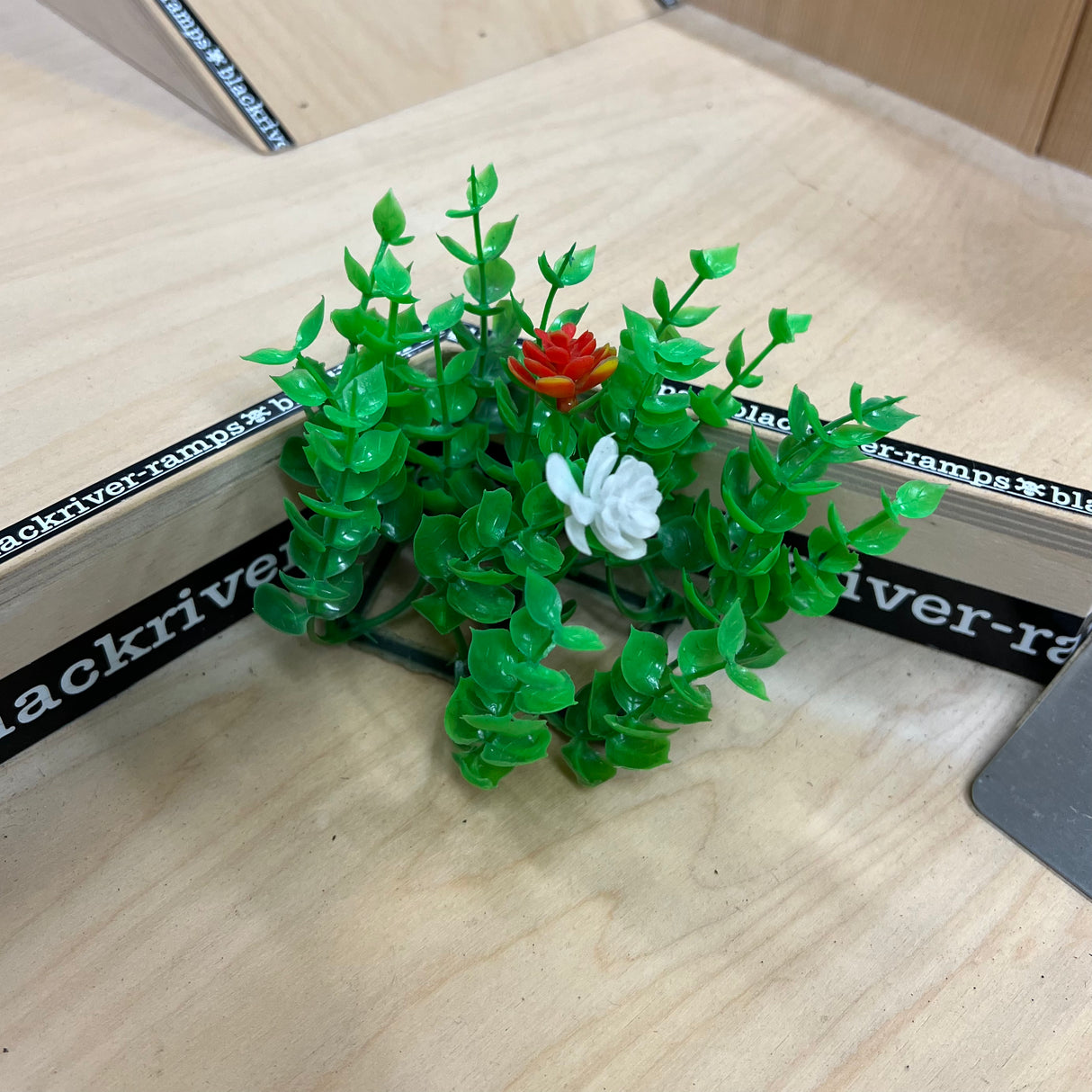 Radical - Decorative Plant