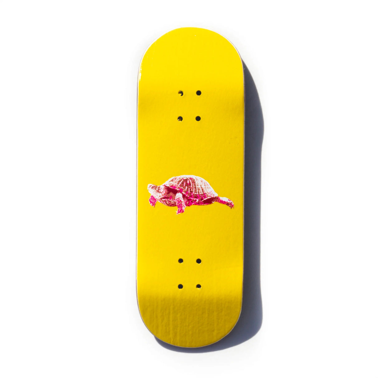 Unique Decks - "Box Turtle" Classic Graphic