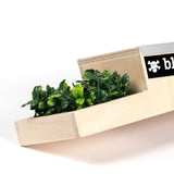 Blackriver ramps - Box IV