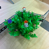 Radical - Decorative Plant