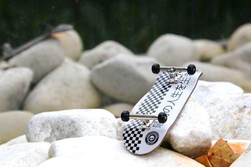 Skull Complete - Japan 34mm (Pro Truck Edition)